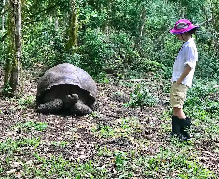 Azurom Luxury Travel Agency &ndash; Austin