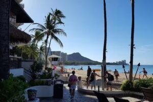 B and K Paradise Travel