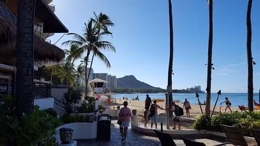 B and K Paradise Travel