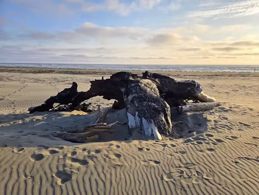 B & R Beach Bungalow