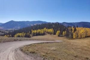 Bachelor Loop Interpretive Site. Hov stage area.