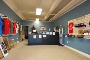 Back Beach Wild Horse Tours