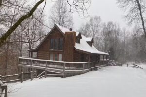 Back to Nature Cabins