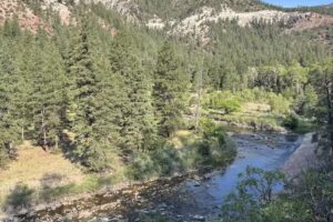 Backcountry Outfitters