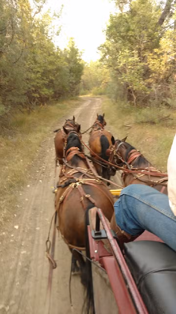 Badlands Stagecoach & Conveyance Company LLC