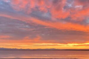 Baja Jones Adventures Travel