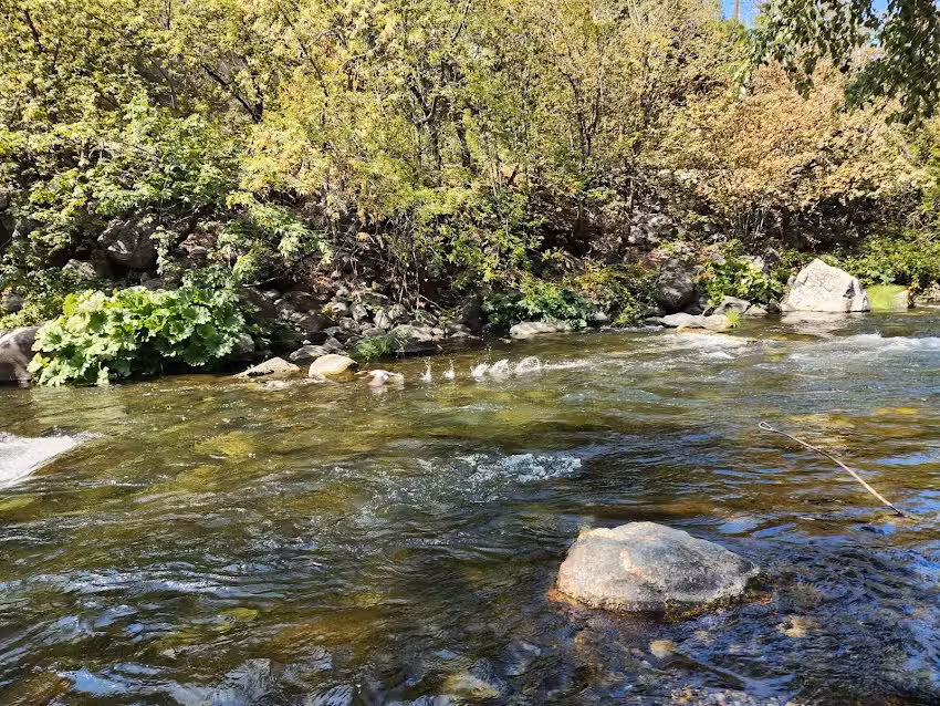 Baldwin Vacation Rentals – Butterfly Ranch