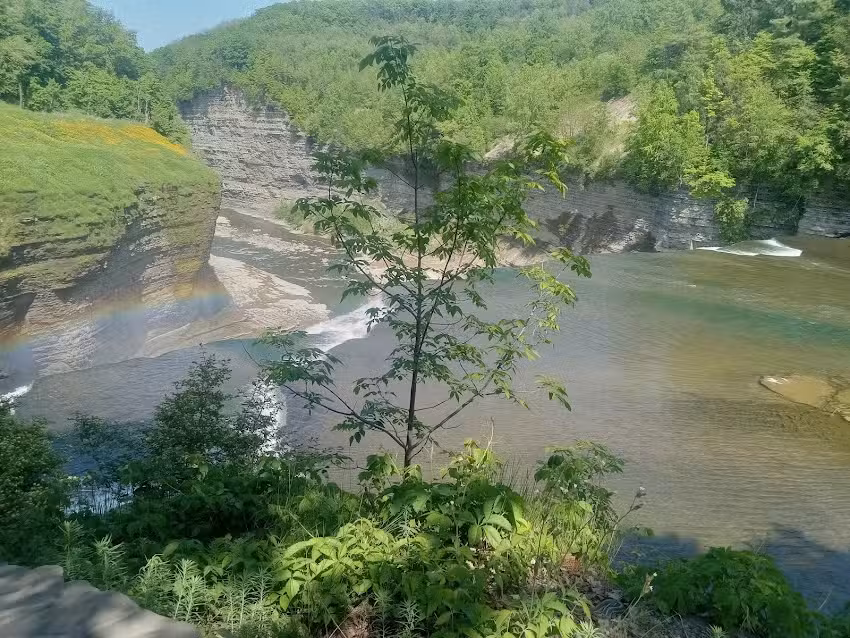 Balloons Over Letchworth