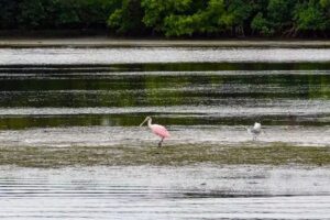 Banana Bay Tour Company