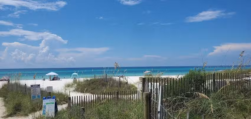 Banana Slug Getaways