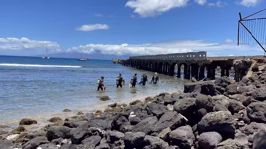 Banyan Tree Divers Maui