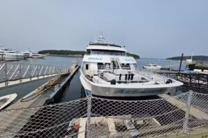 Bar Harbor Whale Watch Co