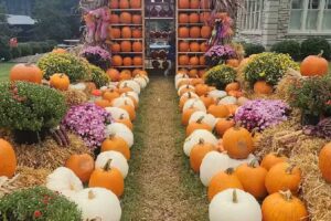 Barbourville & Knox County Visitor Center