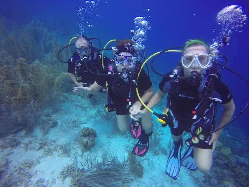 Barclay&rsquo;s Skindivers Paradise & Windsurfing-Maine