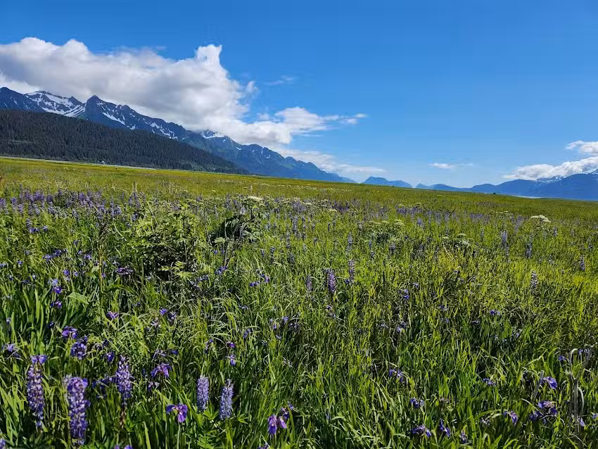Bardy&rsquo;s Trail Rides