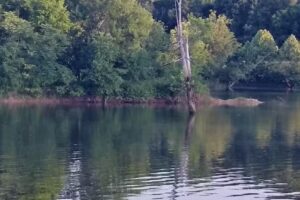 Barren Creek Cottages