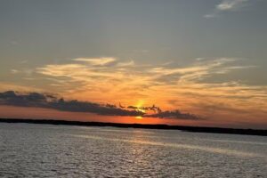 Barrier Island Ecotours