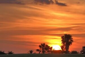 Barton Cruise and Travel, LLC