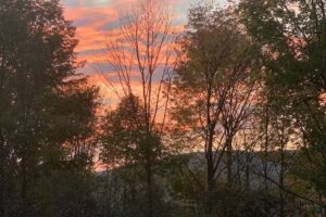 Bavarian Farm Resort – Hopsview