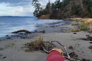 Bay Center Tourist Information