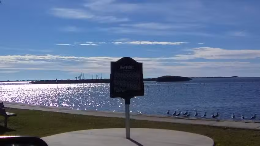 Bayport River Safari