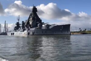 Baywatch Dolphin Tours