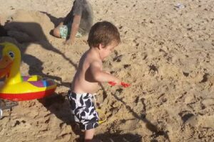 Beach Bum Horse Rides