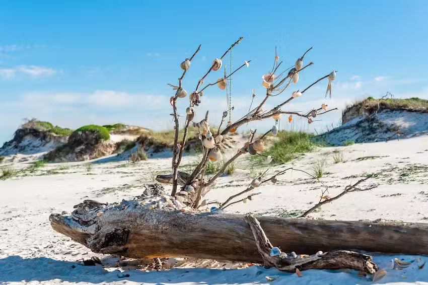 Beach Camp – Cape San Blas Home