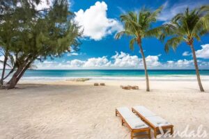 Beach Paradise Travel