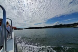 Beachcomber Boat Tours