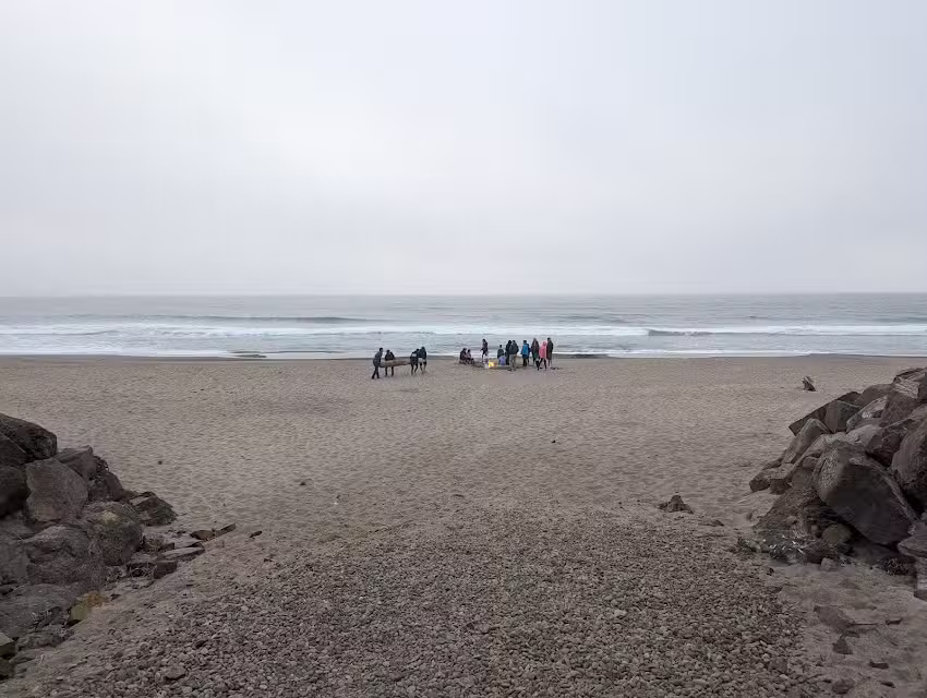 Beachcombers Haven