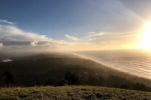 Beachfront Vacation Rentals