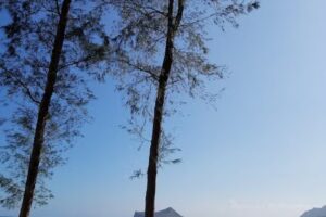 BeachHouseHawaii.com