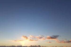 Beachnest Vacation Rentals