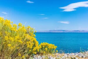 Bear Lake Valley Convention and Visitors Bureau