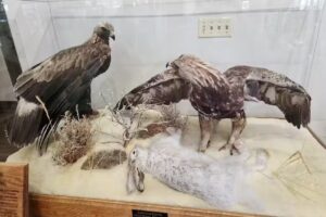 Bear River State Park Visitor Center