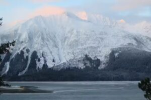 Bear Star Web Design and Rental