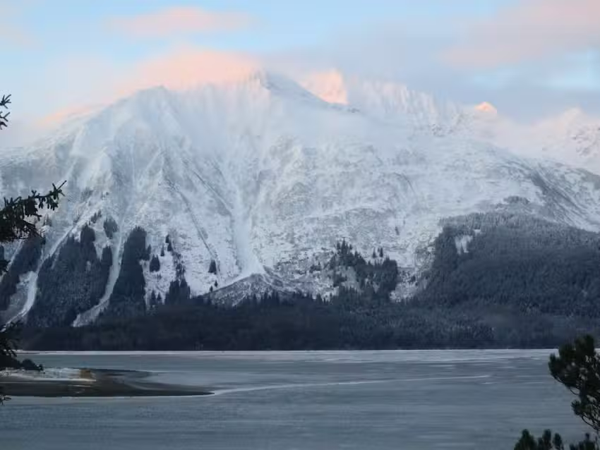 Bear Star Web Design and Rental