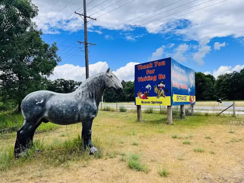 Beaver Springs Fishing Park