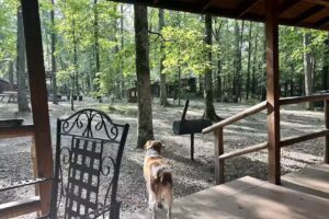Beavers Bend Lodging Inc.