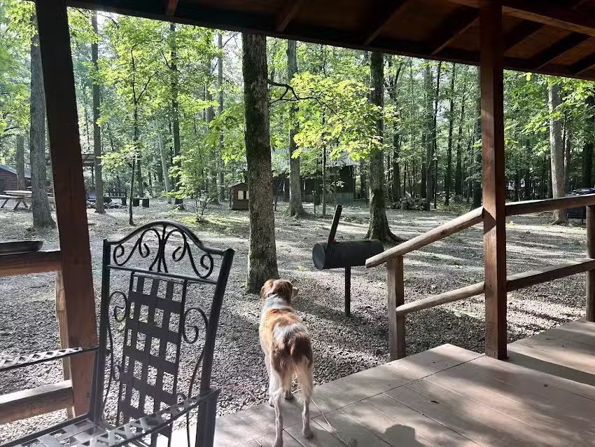 Beavers Bend Lodging Inc.