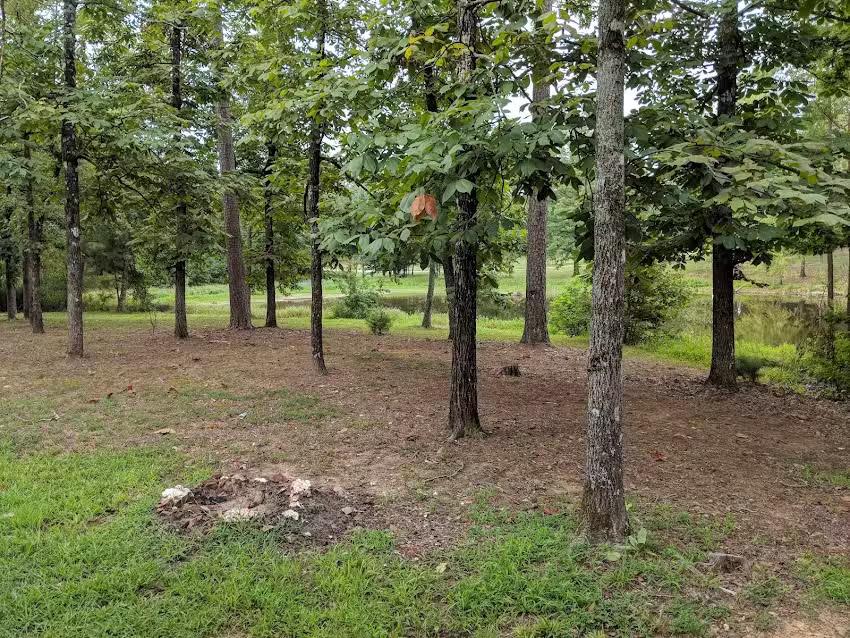 Beavers Bend Rentals