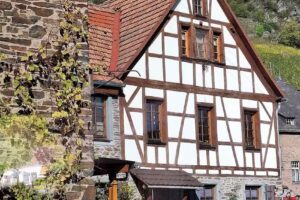 Becki Bozart Cruise Planners