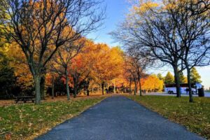 Beekmantown Gateway Information Center