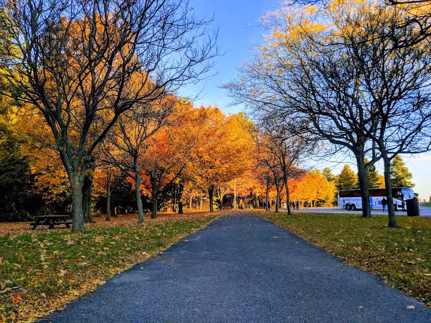 Beekmantown Gateway Information Center