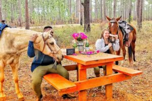 Believe the Journey Horse Services LLC