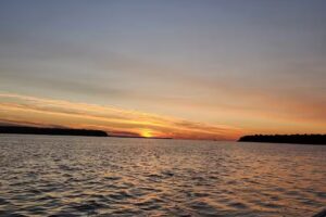 Bella Sailing Cruises