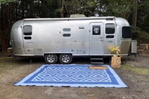 Belle Haven’s Bliss