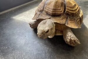 Bernice Nature Center