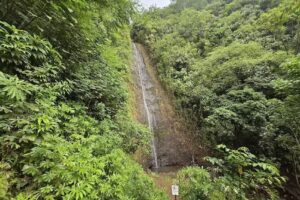 Best Oahu Tours by AYC